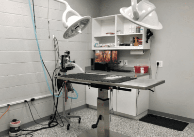 Surgery Station