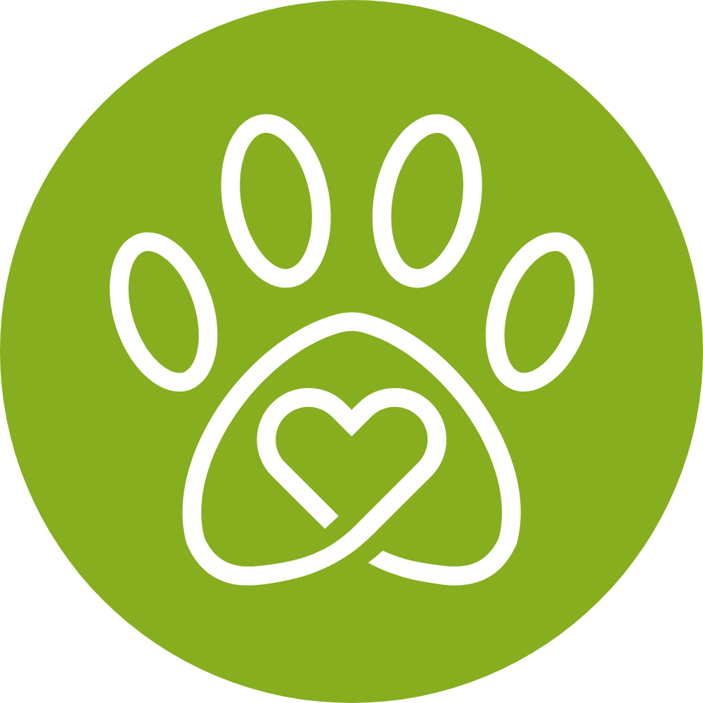 pet vaccination icon