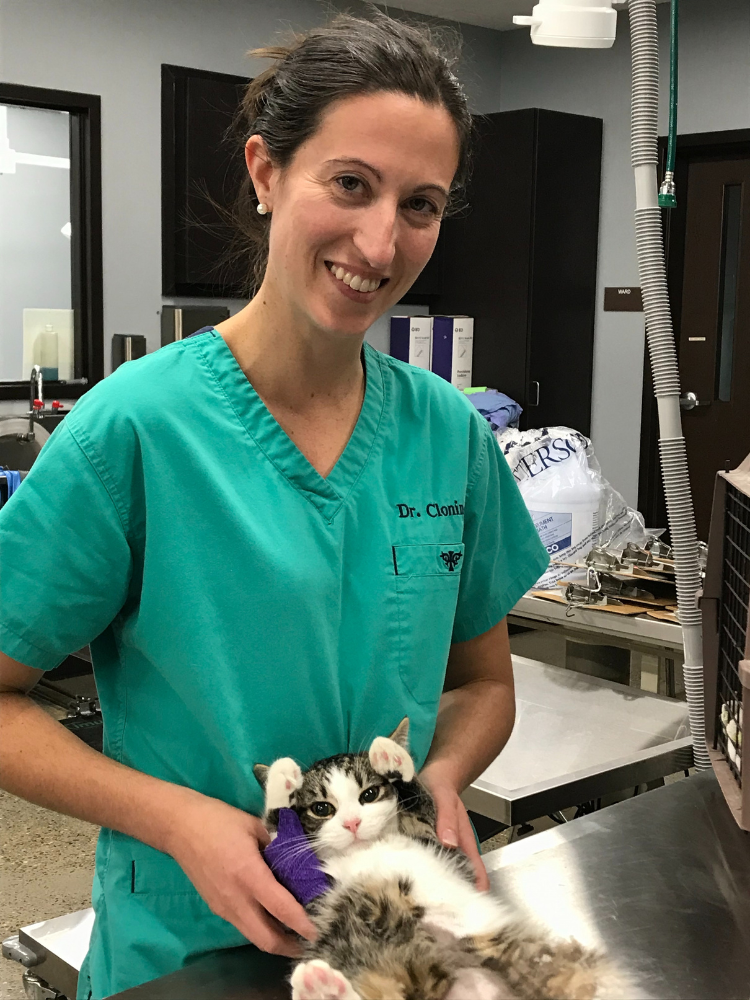 East Lincoln Animal Hospital Staff
