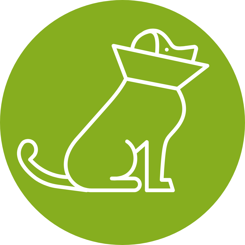 pet vaccination icon