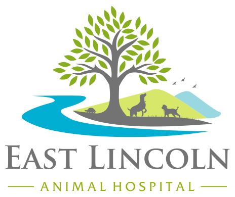 East Lincoln Animal Hospital logo